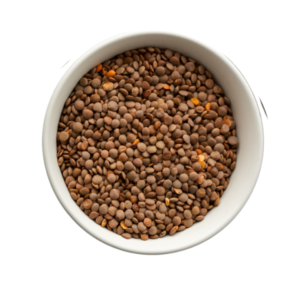 Brown Lentils