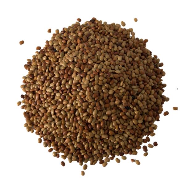 Horse Gram